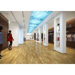 Parquet chêne Amazon Molti