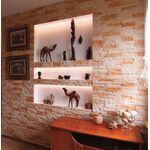 NEPAL 02, Plaquette de parement extérieur et intérieur