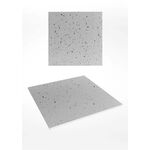 Panneaux en gypse INDUSTRIO (disponible en deux tailles)