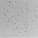 Panneaux en gypse INDUSTRIO (disponible en deux tailles)