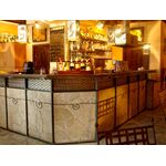 RODOS 01, Plaquette de parement intérieur en gypse