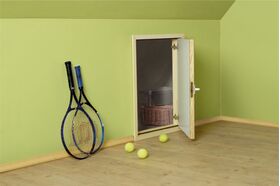 Portillon de comble FAKRO DWK