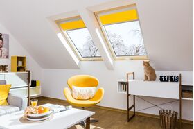 Fenêtre de toit FAKRO FTT U8 Thermo FSC