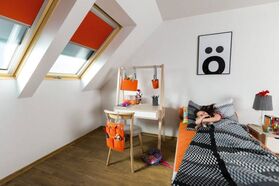 Fenêtre de toit FAKRO FTU-V U4, en bois, rotation, couleur blanche