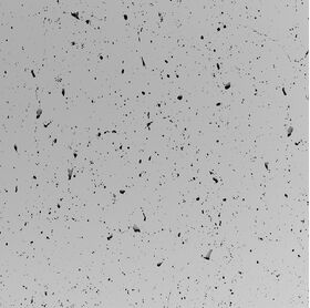 Panneaux en gypse INDUSTRIO (disponible en deux tailles)