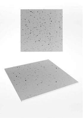 Panneaux en gypse INDUSTRIO (disponible en deux tailles)